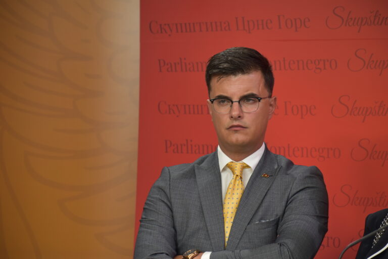 Šaranović: Logično opredijeliti se za građanskog kandidata