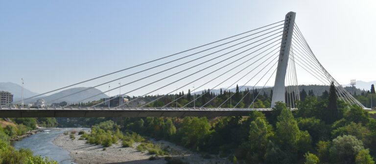 Podgorica: Uhapšen osumnjičeni za zelenaštvo, ugrožavanje sigurnosti i nedozvoljeno držanje oružja