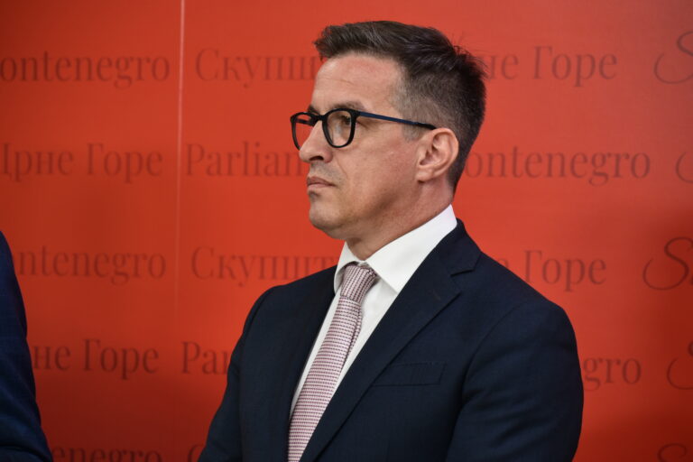 DOBRIČANIN: Vlada sa manjinama nije dugoročno rješenje