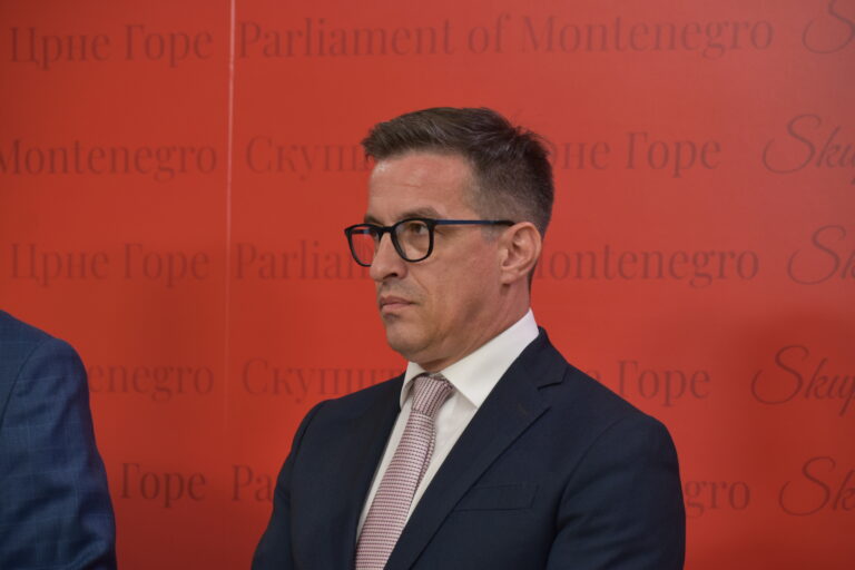 DOBRIČANIN: Uzdržani prema vladi, nećemo biti u klubu sa Evropom sad