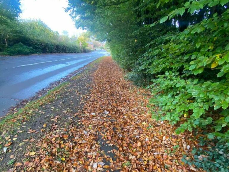 AMSCG: Dobri uslovi za vožnju