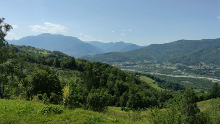 VIŠEGODIŠNjI PROBLEM: Zbog lošeg gazdovanja šumama stop za koncesije