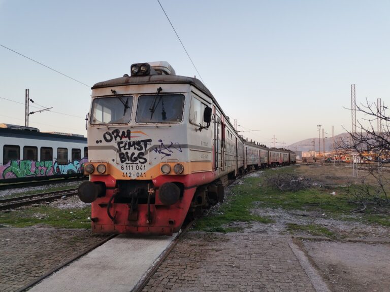 Ilinka Pavićević na čelu ŽPCG