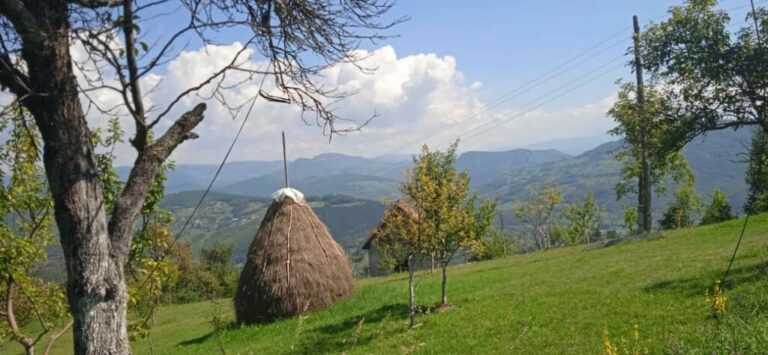 Sunčano i toplo, do 39 stepeni