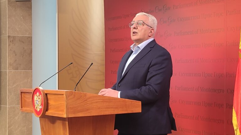 MANDIĆ: Prvo nova vlada, pa predsjednički izbori, DF-u mjesto potpredsjednika