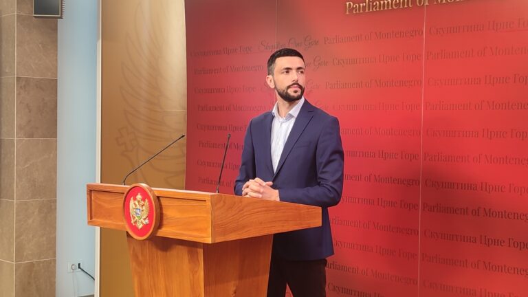 ŽIVKOVIĆ: „Neophodan dogovor o datumu vanrednih izbora“