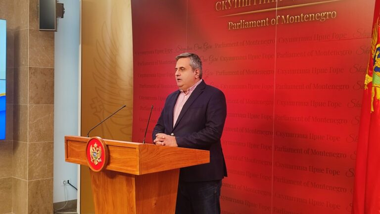 Radunović: Svršeni srednoškolci ili studenti ne mogu upravljati državom, to je opasna avantura