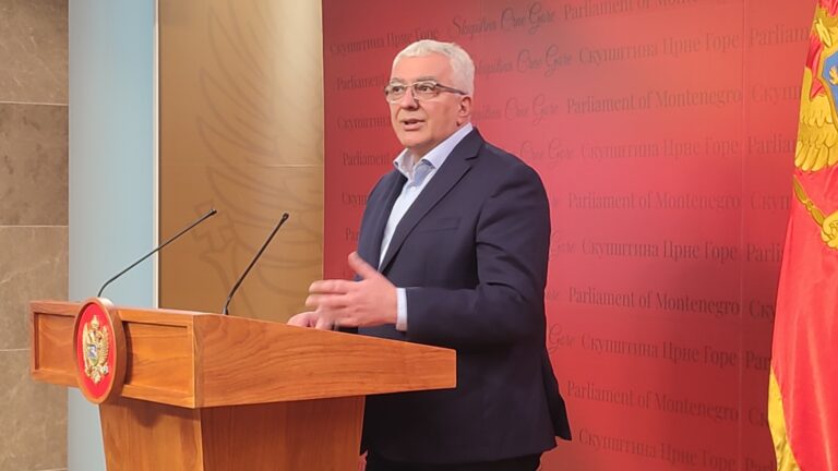 Andrija Mandić kandidat za predsjednika