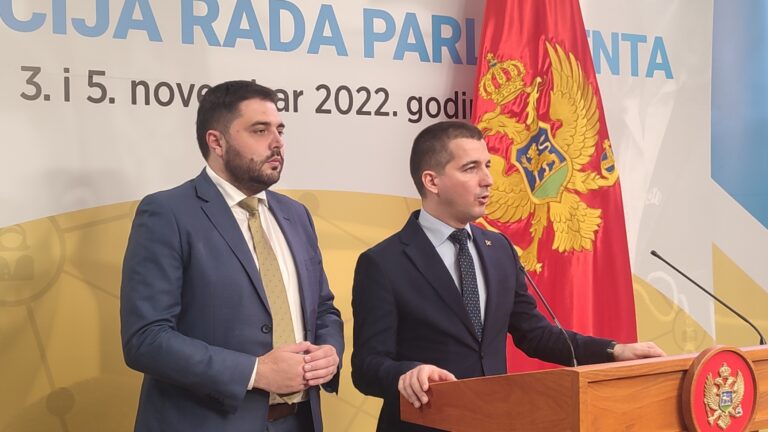 Bečić predsjednički kandidat Demokrata