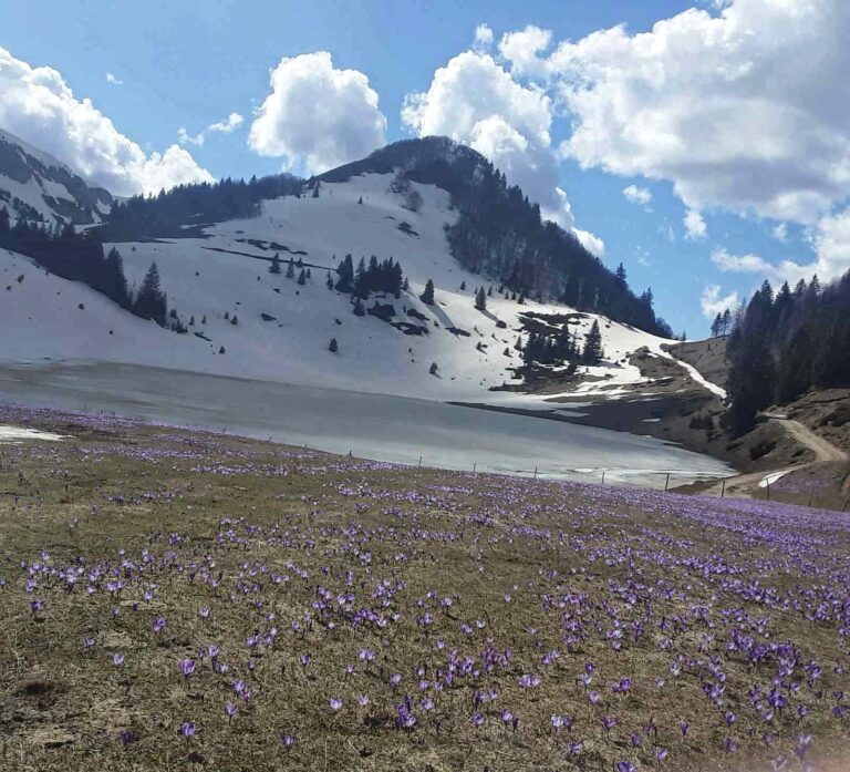 Pretežno sunčano, popodne naoblačenje