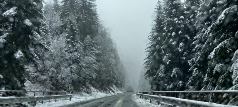 Tri osobe poginule na putu Rožaje – Bać