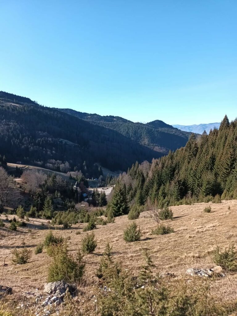 Objavljen Javni poziv za davanje šuma na korišćenje za 2023. godinu