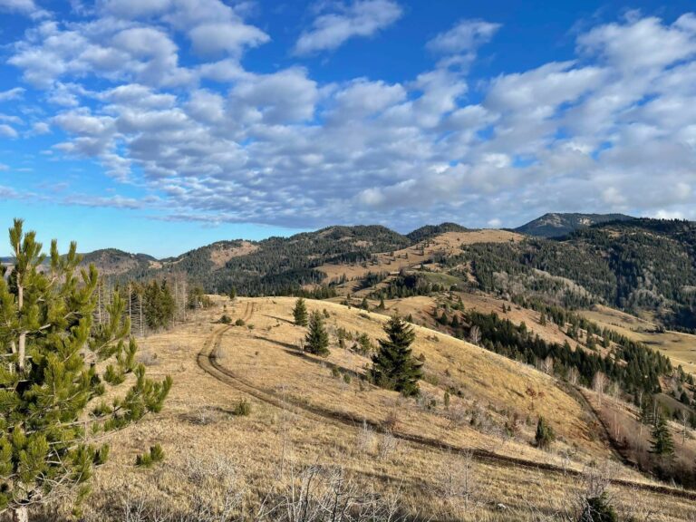 VREMENSKA PROGNOZA: Pretežno sunčano, do 16 stepeni