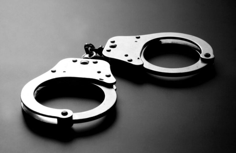 U Plavu dvije osobe lišene slobode zbog obljube sa djetetom i dječje pornografije