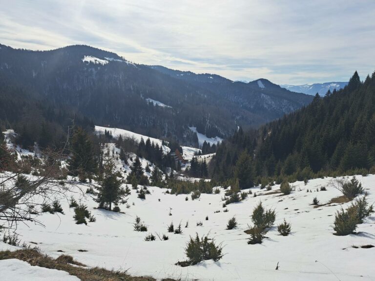 Sjutra oblačno, do 15 stepeni