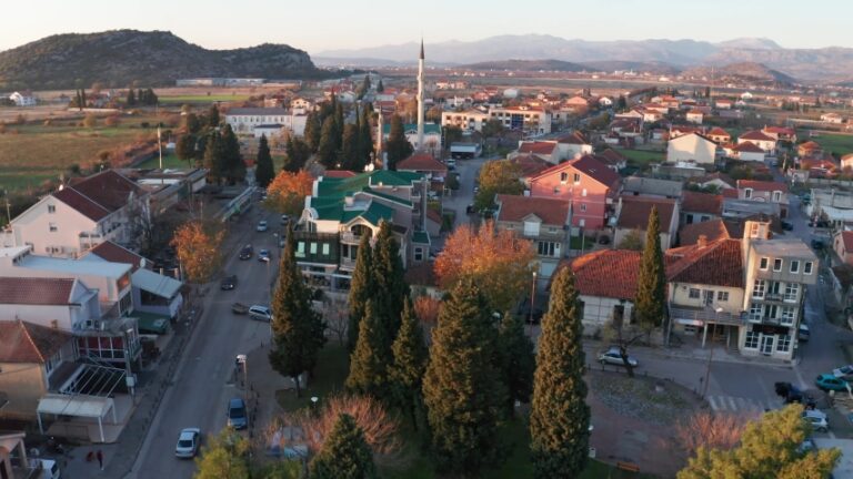 Uhapšen Bećović, pucao iz lovačke puške prije početka političkog skupa u Tuzima