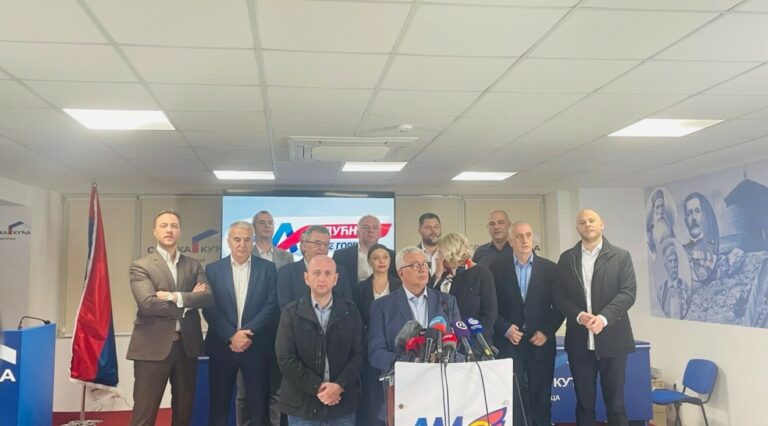 Mandić: Pozivam moje glasače da svi izađu i glasaju za Milatovića