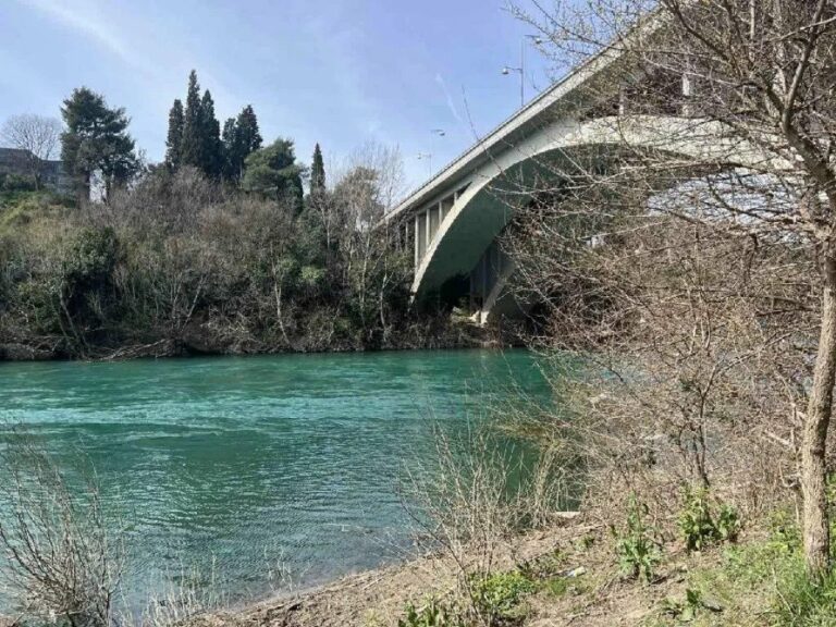 Novi detalji: Žena se utopila, radnici Zelenila i švedski parlamentarac spasili bebu iz Morače