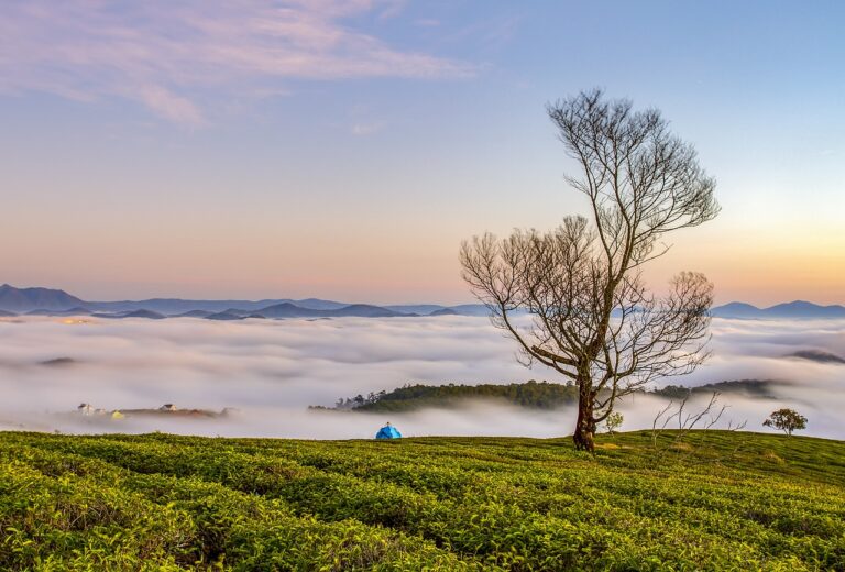 Sjutra pretežno sunčano, do 18 stepeni