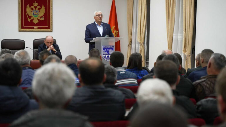 Mandić: Skupština i Vlada su oslobođene bivšeg režima, ostala je još Institucija predsjednika