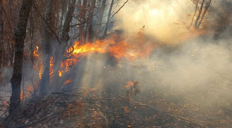 Požar u Mojkovcu: Služba zaštite počeće preventivne mjere na terenu