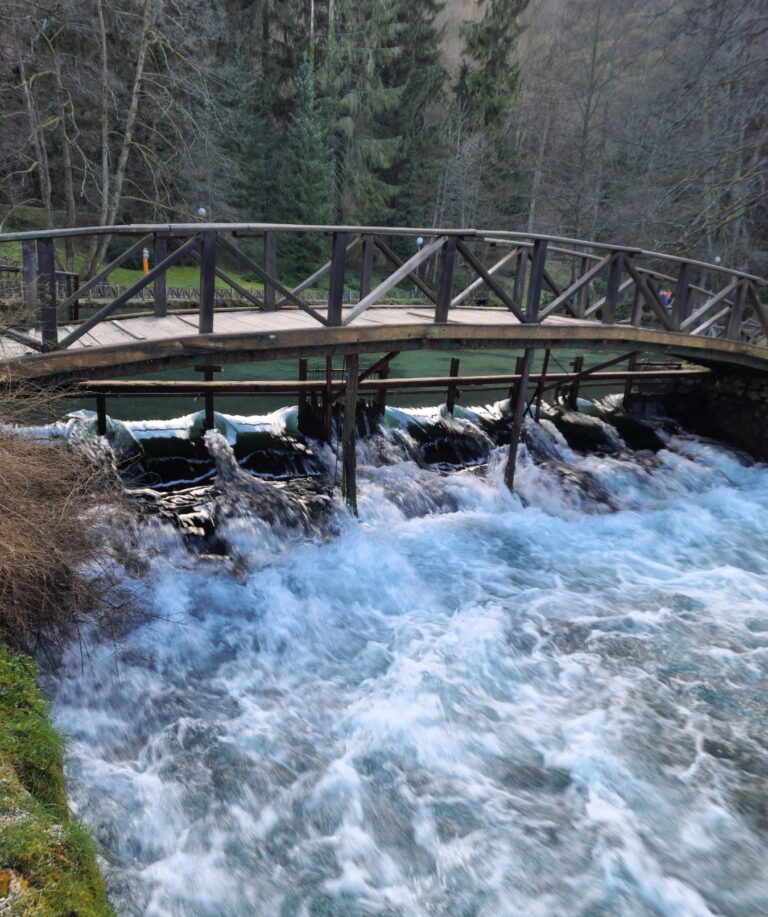 Danas počinje proljeće