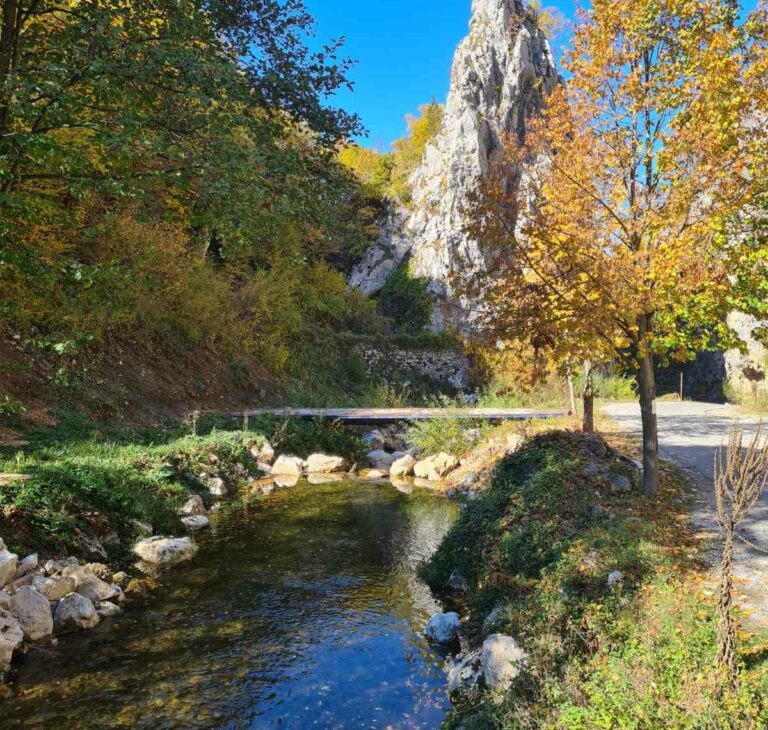 Inicijativa opštini Berane: Kaludarsku rijeku proglasiti zaštićenim prirodnim područjem