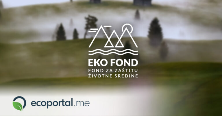 Martinovića i Nedovića sumnjiče da su Pejoviću darovali 20.000.000 eura