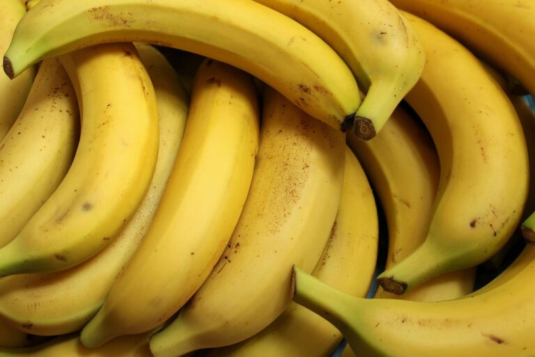 U pošiljkama banana u Španiji pronađeno 6,5 tona kokaina