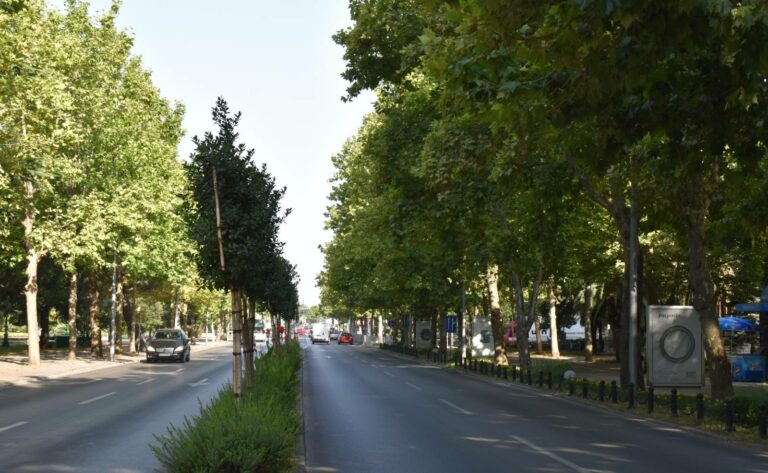 AMSCG: Povoljni uslovi za vožnju