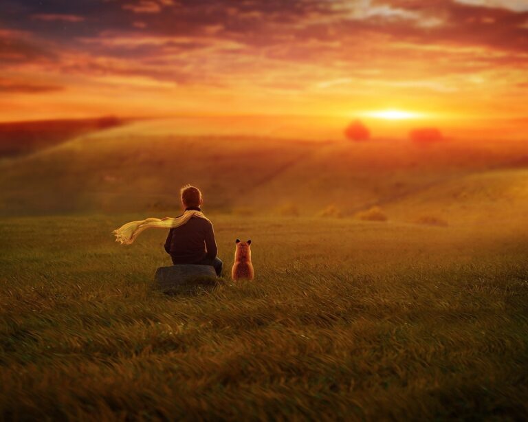 Osamdeset godina „Malog princa“