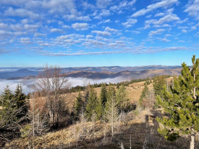 Pretežno sunčano uz umjerenu oblačnost
