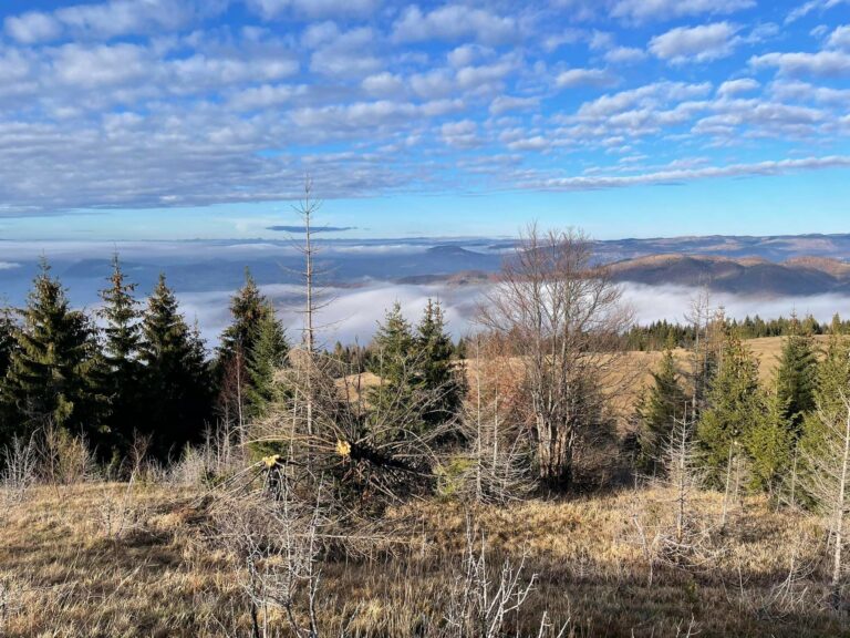 Promjenljivo oblačno sa sunčanim intervalima