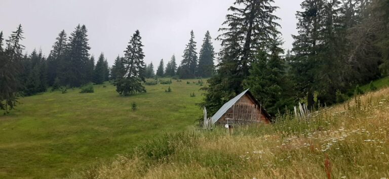 Povremeno kiša, do 18 stepeni