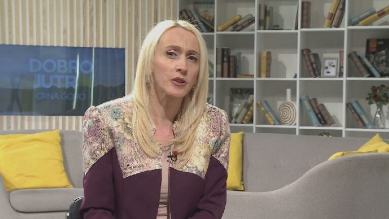 Mrdović: Ibrahimović nezakonito zapošljava; MKI: Konkurs kasno raspisan