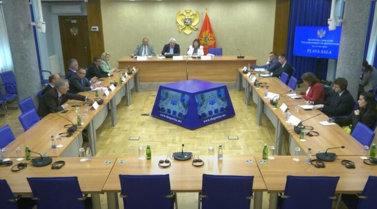 Vučurović: Tužilaštvo nije adekvatno reagovalo u slučajevima policijske torture