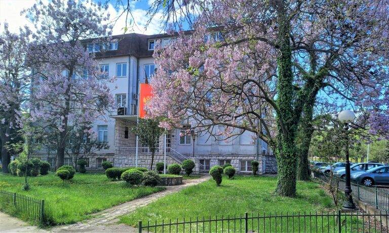 Nastavljena pljačka budžeta preko osoba sa invaliditetom