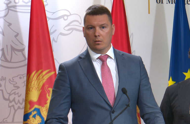 Adžić: U automobilima nađeni pištolj i hemijska sredstva, policija u hotelu postupala profesionalno