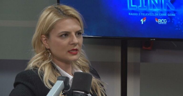 JELENA NEDOVIĆ: Ibrahimović je uhljeb, narod nema koristi od njegove politike