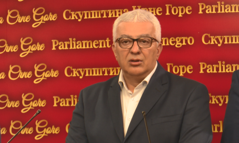 Mandić: Ono što vam je dao narod, treba da se pretoči u konkretnu vlast