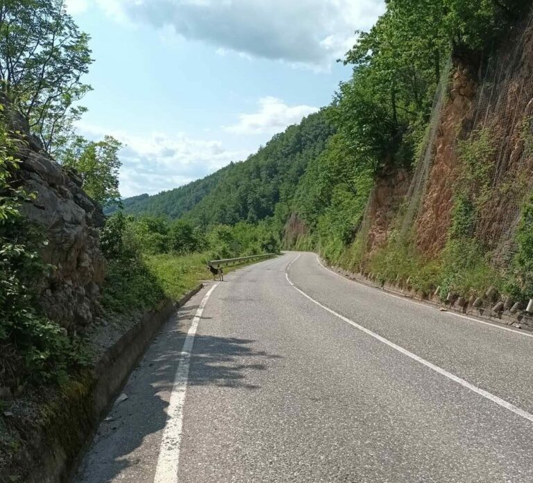 Izbjegavati putovanja u najtoplijem dijelu dana