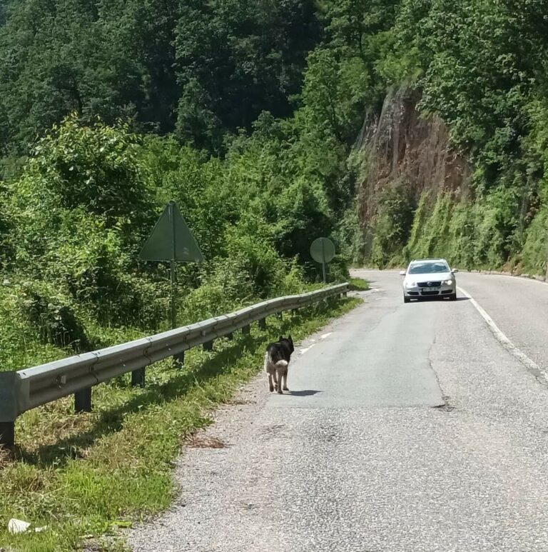 AMSCG: Dobri uslovi za vožnju