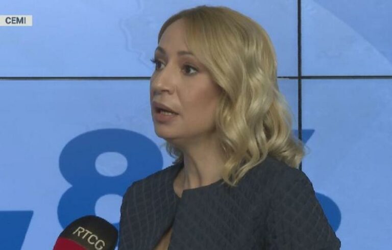 Nenezić: Izlaznost bi mogla da bude najmanja od uvođenja višestranačja