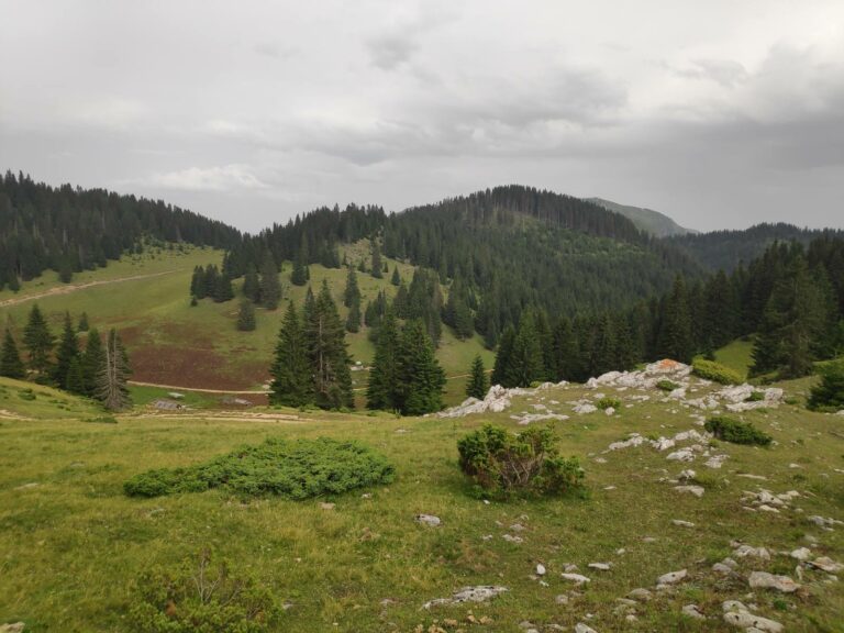 Sjutra promjenljivo, do 28 stepeni