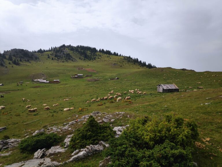 Promjenljivo, poslijepodne kiša