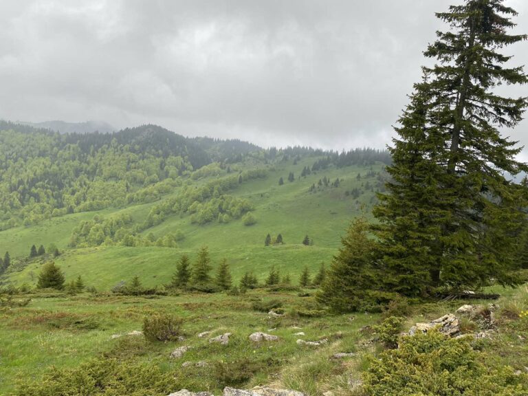 Promjenljivo oblačno sa sunčanim intervalima