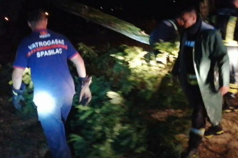 Nevrijeme u Nikšiću obaralo stabla, otkrivalo krovove kuće