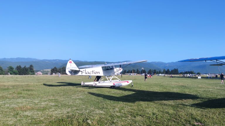 (VIDEO)Kanader se srušio tokom gašenja požara u Grčkoj pa eksplodirao