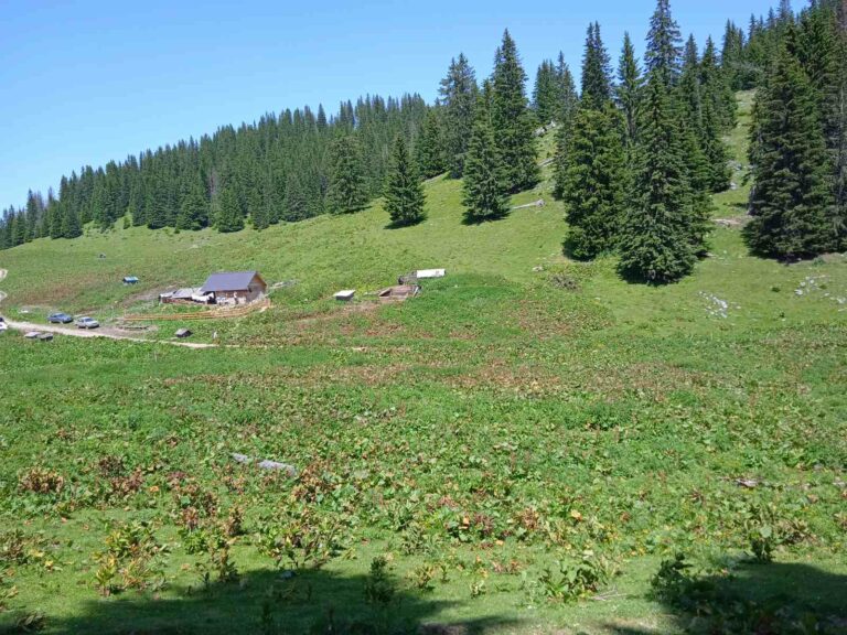 Danas veoma toplo, do 39 stepeni