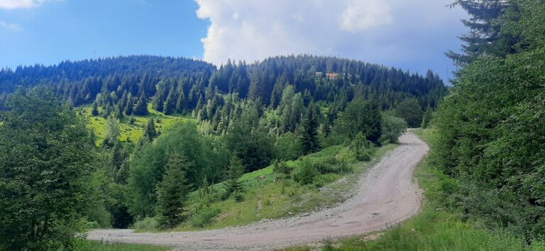 Na sjeveru kiša, temperatura do 31 stepen